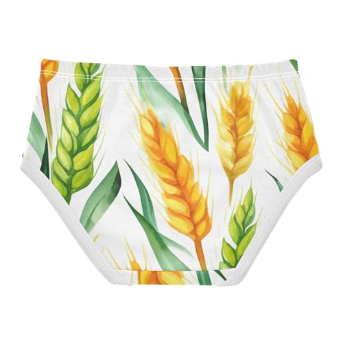 Watercolor Wheat Gold Green Leaves Panties for Girl Toddler Underwear Floral Cotton Fancy Briefs Undies Kids 2t2