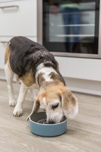 TRIXIE Slow Feeding Keramiknapf - grau/blau 0,45 l/ø 14 cm