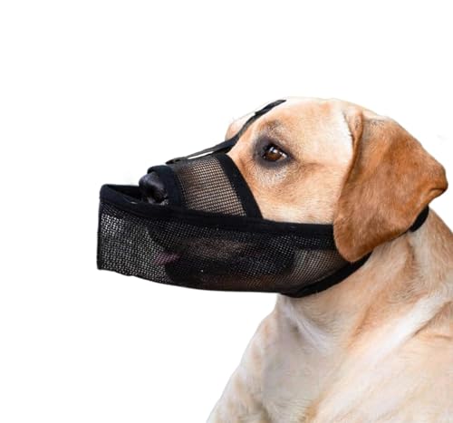 WoLraYuan  i h~ ݂h~ Hh~  h~ p}YK؂ ^ ^ ^ p}XN ^邱Ƃł܂   ߂ (L)