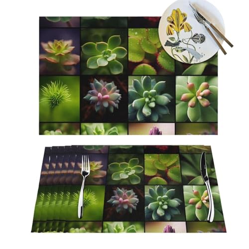 Sets de table tissés anti-chaleur et lavables pour protéger votre nappe