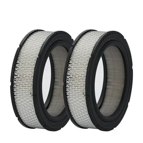 Filtre à air pour tondeuse résout les problèmes de démarrage à chaud 692519
