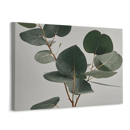 Toile murale de 40 x 30 cm feuilles d'eucalyptus pour décoration intérieure
