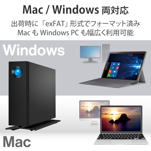 ラシー LaCie d2 Professional STHA8000800 の商品画像 5