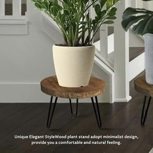 Tabouret pour plantes de 10 pouces en bois rustique