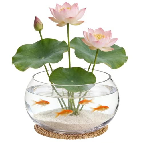 Calolin Lotus Bowl Planter with Rattan Mat, 10 in Clear Glass Hydroponic Bowl, Indoor Aquatic Plant Terrarium for Lotus and Water Greens, Transparent Decorative Lotus Pot, Fish Tank