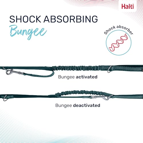 Image of Halti Anatomy Multifunctional Dog Leash | Size Large, Teal | Shock Absorbing Double-Ended Leash, Ideal for Puppy and Dog Walking & Training. Comfortable to Hold, Reflective & Lightweight