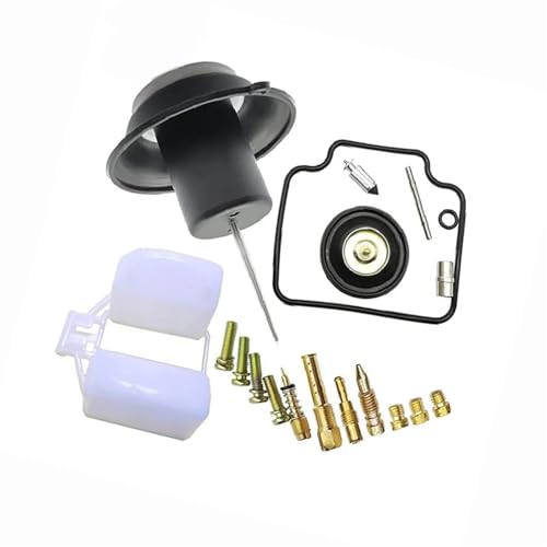 Kit réparation carburateur anti-fuite pour scooter CN250 Helix CH250 Fusion