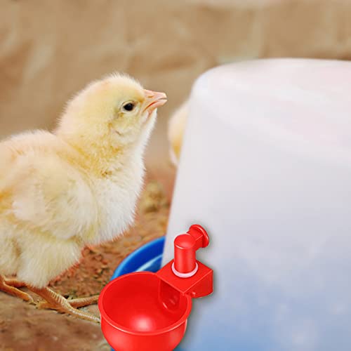 Offfay Tazze per Abbeveratoio di Pollo, 4/6 Pezzi