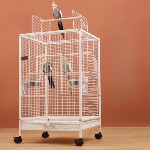 P[W Ƃ肩 CR o[hQ[W ^  傫  IJ CR  IE 46*46*77CM (lbg[NŚij)