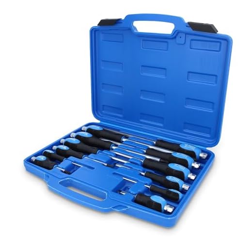 BRILLIANT TOOLS BT034012 Schraubendreher-Satz mit Schlagkappe, 12-tlg. Schlitz/PH [Powered by KS TOOLS]