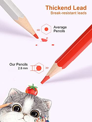 Image of Deli Colored Pencils Set of 36 Tube Caps with Sharpener, Vibrant Colors, Pre-Sharpened Pencils for School, Kids, Teachers, Soft Leads for Art Drawing Pencils for Coloring, Sketching, Painting