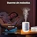 Imagen de Humidificador de aire 500