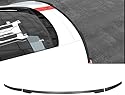 Auto Heckspoiler Für Audi R8 2016-2019, Kratzfeste Kofferraumspoiler HeckflüGel, Dachspoiler, Kratzfeste Heckspoiler