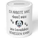 Perfekt geeignet für Taschengeld, Trinkgeld, Kleingeld sowie als Kaffeekasse, Reisekasse, Urlaubskasse und Trinkgeldkasse.