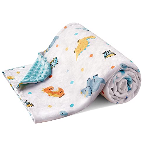 Image of DaysU Silky Micro Soft Plush Baby Blankets for Boys with Print Animal Pattern and Soothing Raised Dots, Double Layer Bed Throws for Baby Crib, Dinosaur, Aqua Blue, 30x40 Inches
