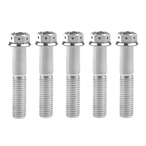 Ruifuチタン合金フランジヘッド六角穴付ボルトM10 20 25 30 35 40 45 50 55 60 65 70 75 80 85 90mm 二輪車用改造ネジ5個 (M10x50mm Pitch 1.25, シルバー)