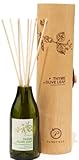Paddywax Eco Green Fragrance Diffuser, Thyme and Olive Leaf