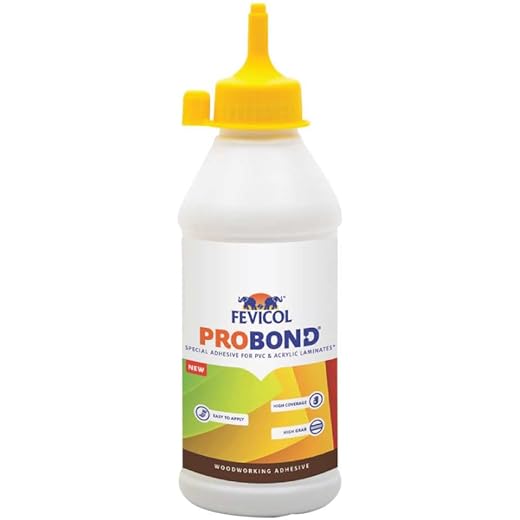 Fevicol Probond Special Adhesive 500g