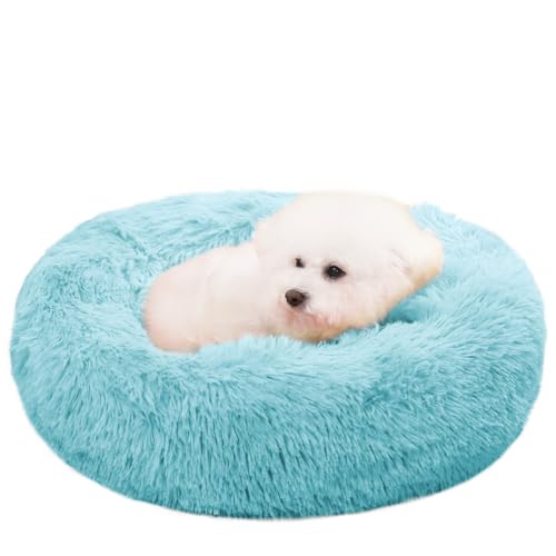 ZurZur L  NbV ybgxbh ӂӂ  薰 g h[ic Eh^  h ΍ 􂦂 ~ ӂӂLp \t@[ ʔN ybgpi