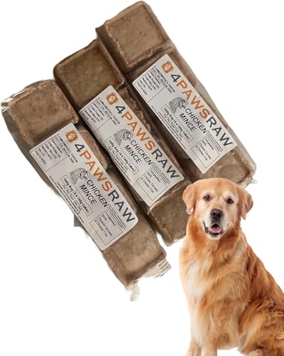 What is a good homemade diet for dogs