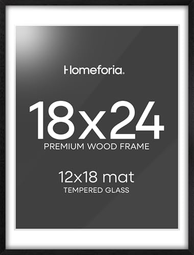Homeforia Black Wooden Frame 18x24 with Mat