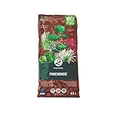 Selbstverständlich ist unsere naturbelassene Bio-Pinienrinde unbedenklich für Haus- und Gartentiere und somit die ideale Wahl für Tierfreunde