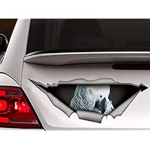 43LenaJon African Grey Car Decal Vinyl Decal Chic 3D Animal Sticker Decal Parrot Decal Bird Decal Parrot Sticker for Car Truck Window Bathroom