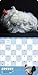 Extraordinary Chickens 2026 Wall Calendar