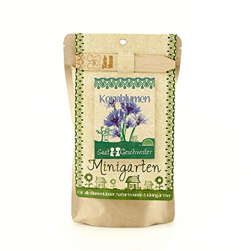 Die Stadtgärtner Minigarten Kornblume | Komplettes Pflanzset für das schön anzusehende Heilkraut