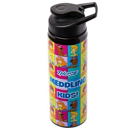 Image of Silver Buffalo Scooby-Doo Meddling Crew, Stainless Steel Water Bottle, 25oz | Kids, Fred, Velma, Shaggy and Daphne, 0.74 Liters