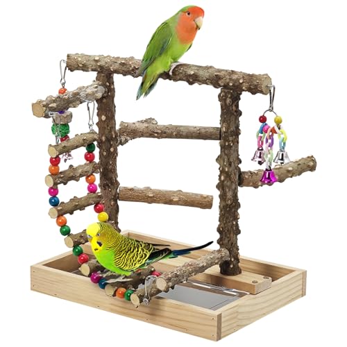Image of BNOSDM Natural Wood Bird Playground for Training & Playing, Parrot Perch Stand Jungle Gym with Hanging Bridge & Detachable Tray Parakeet Cage Playstand for Budgie, Cockatiel, African Grey