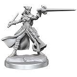 Wizkids Dungeons & Dragons Frameworks: Tiefling Rogue Female WZK 75020