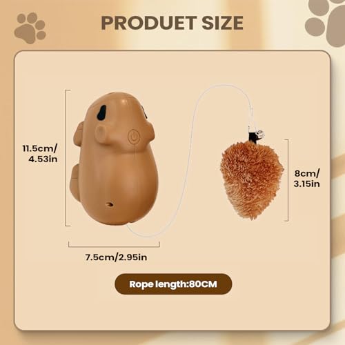 Chats actifs à la maison grâce au teaser électrique rechargeable - 7