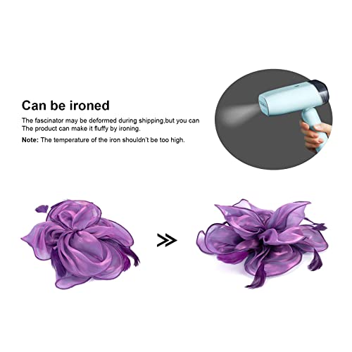 Dreshow Fascinators Hat Tea Party Headwear Ribbons Feathers On A Headband And A Clip For Girls And Women #TOP6