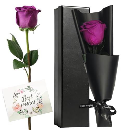 HIVTE Rosa eterna roxa natural com talo em caixa de presente - rosa real preservada, presentes para mulher, mãe, namorada dia dos namorados, aniversário e aniversário