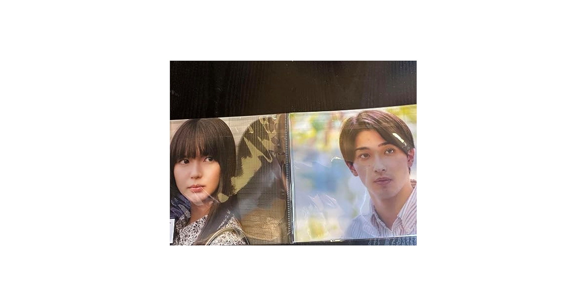 横浜流星　松坂桃李　流浪のた月　プレスシートパンフレットセット Amazon.co.jp: 流浪の月 スタンダード・エディション（通常版