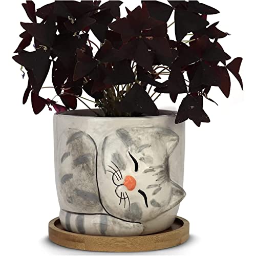 Window Garden Katzen-Pflanzgefäß - großer Kitty-Topf für Zimmerpflanzen, Sukkulenten, Blumen und Kräuter - niedliche Pflanzgefäße, Geschenk für Katzenliebhaber zu Weihnachten, Erntedankfest (Oreo) Cover