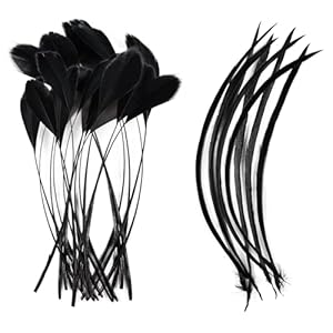 set of black feather decorating picks