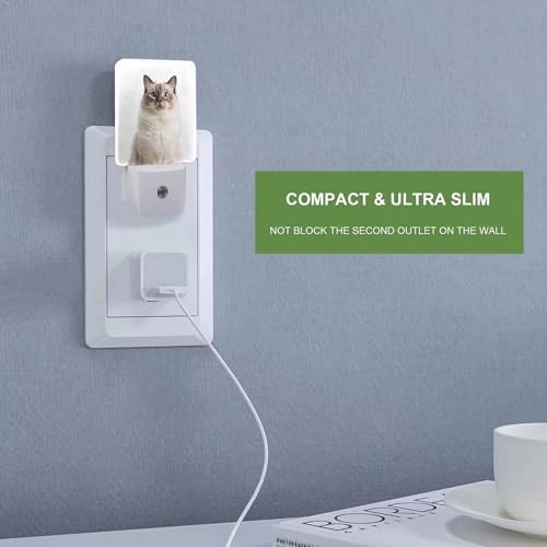 Image of LED Night Light,Beautiful Yellow Eyes Ragdoll Cat LED Night Light Plug into Wall with Dusk to Dawn Light Sensor White Energy Efficient Nightlight for Bedroom Hallway Living Room Kitchen