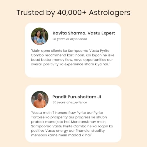 Image of Astrotalk Sampoorna Vastu Pyrite Combo | 7 Horses Frame, Pyrite Tortoise & Stone | Vastu Items for Wealth, Success & Protection | Home Decor for Living Room & Office Desk | Housewarming Gifts