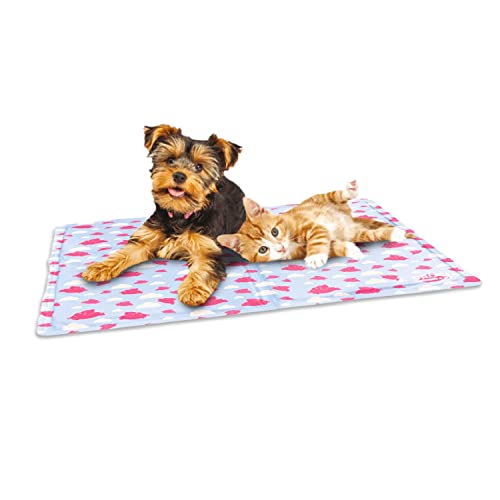 Orthopädisches Hundebett, Katzenbett 110 Cm X 85 Cm X 28 Cm