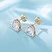 Heart Austrian Crystal Stud Earrings for Women Fashion 925 Sterling Silver Hypoallergenic Jewelry (Clear White)