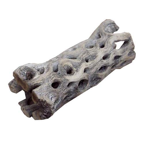 Amazon.co.jp: サボテンの骨 棒状 大（直径6×H15cm）（1本