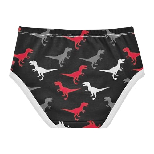 Toddlers Underwear Floral 2t Cotton Panties for Girl Animal Briefs Undies Kids Red Gray Dinosaur Black2