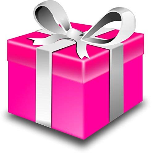 Glam Lux Beauty Bundleof 4 Full Size Cosmetic Products, Great gifts under $5, 2 Matte Lip gloss & 2 Lip liners, colors vary, Great women & teen gifts!