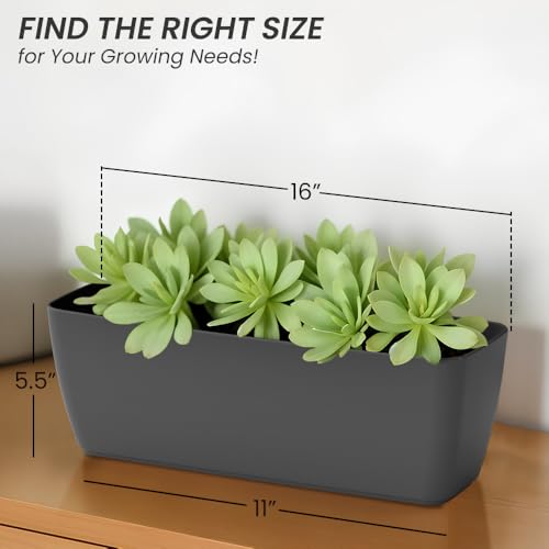Image of YUCCABE ITALIA SHERA CABI Tray 16 INCH Plastic Flower Tray Pot Unbreakable Rectangular Planter Suitable for Home Garden Seedling Indoor and Outdoor (Grey, Pack of 3)