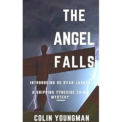 THE ANGEL FALLS Audiolibro Por Colin Youngman arte de portada