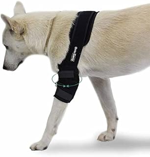 Ortocanis™ Dog Elbow Brace, hygroma Elbow pad, Shoulder Protector, for Dogs with osteoarthritis (Right Leg, Medium)