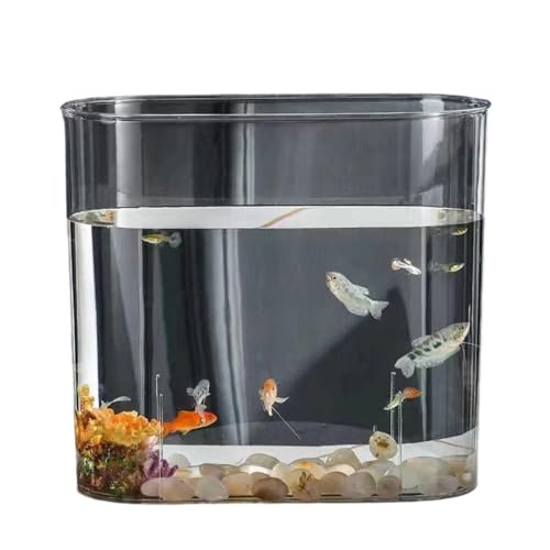 Giawkca �������A�����A�v���X�`�b�N�A�K���X�{�E���A�����A�N�����A�ϗt�A���A���������A�e��A�e�[�u���A�����A�{�E���A���k�͔|�A��e�ʃ��_�J�A���������A�ԕr�B (�ȉ~�`)