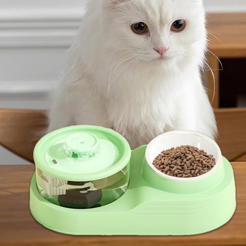 Distributeur automatique de nourriture chat résolvant l'absence prolongée - 4